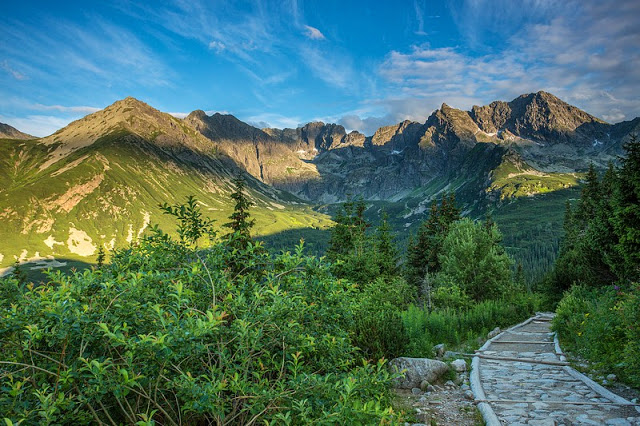 Panorama górska - widok pięknych gór pokrytych zieloną trawą