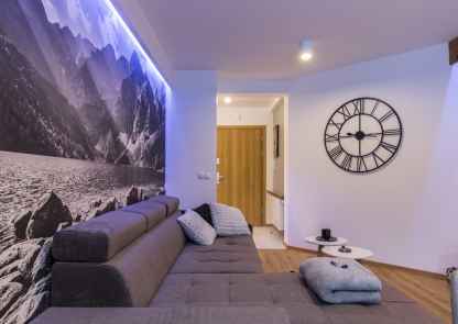 Apartament Koliba na Szymoszkowej Ski Resort - sofa w salonie